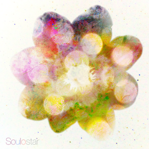 大桥未久张腿实干16次
