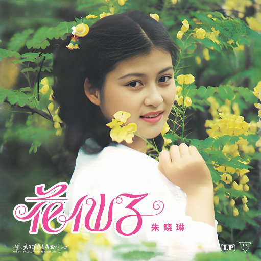 大桥未久张腿实干16次
